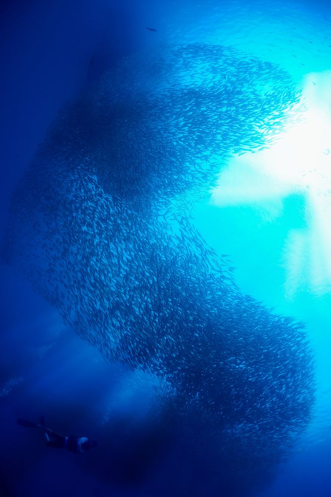 Photograph by Лисицын Сергей