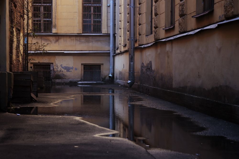 Photograph by Yana Egorova