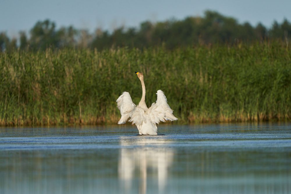 Photograph by Игорь Травкин