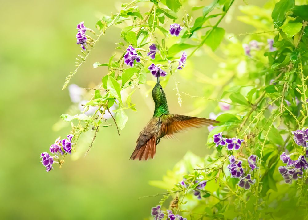 Photograph by Maikel Valle Clara