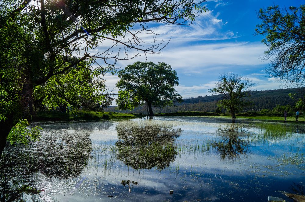 Photograph by sadouni zakaria