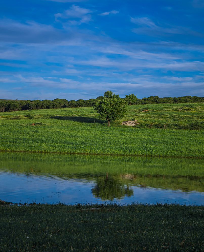 Photograph by sadouni zakaria