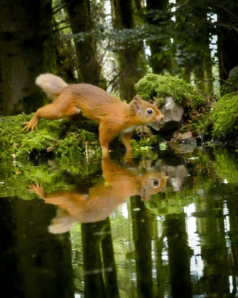 Фотография автора Michael Gault