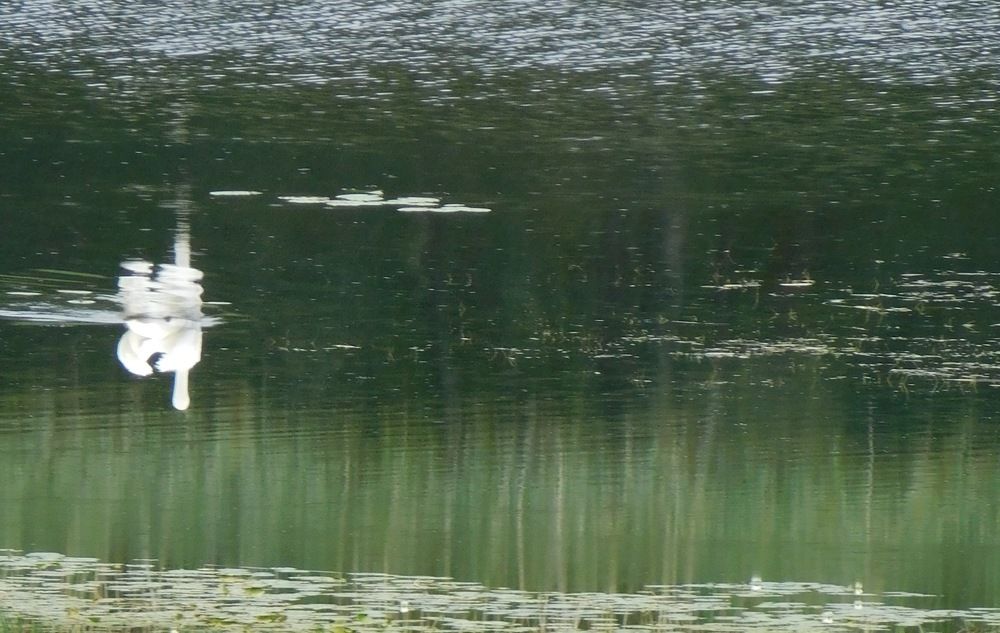 Photograph by Aliaksei Sauko