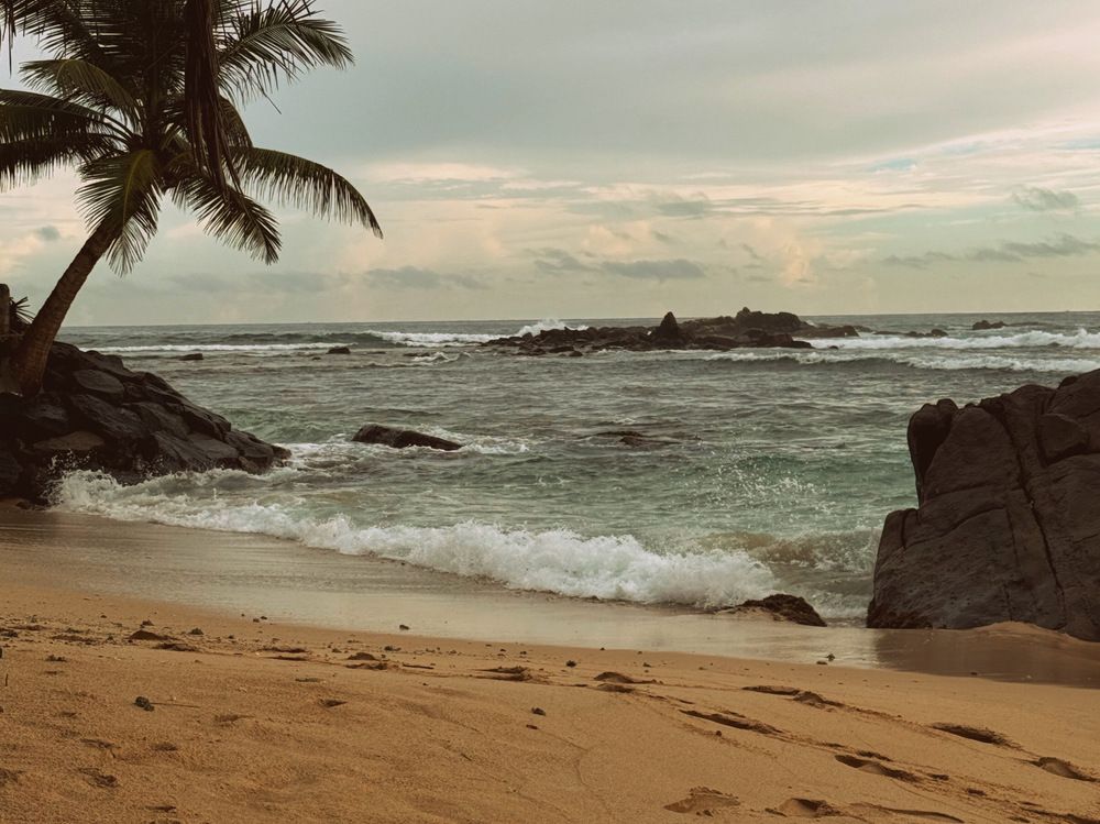 Фотография автора Евгения Никишина