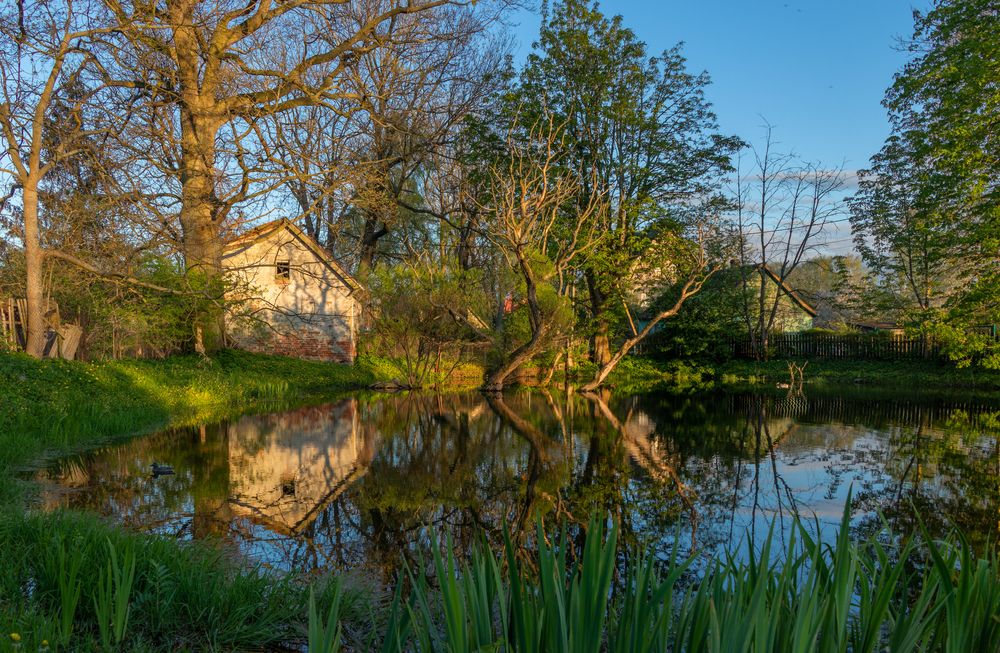 Фотография автора Alexander Pakhomov