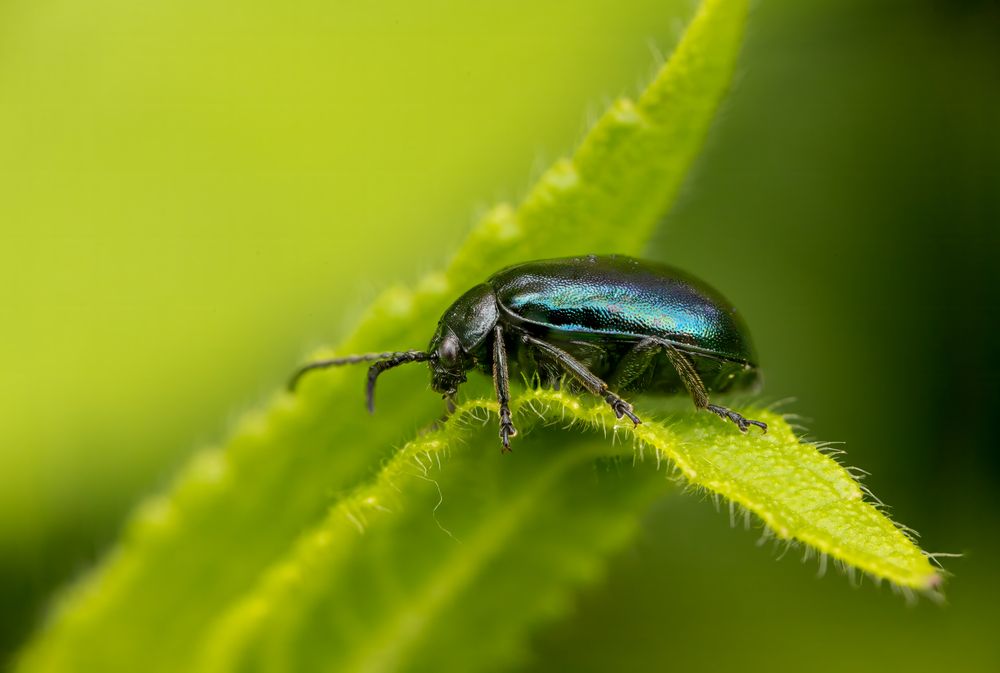 Photograph by Alexander Pakhomov