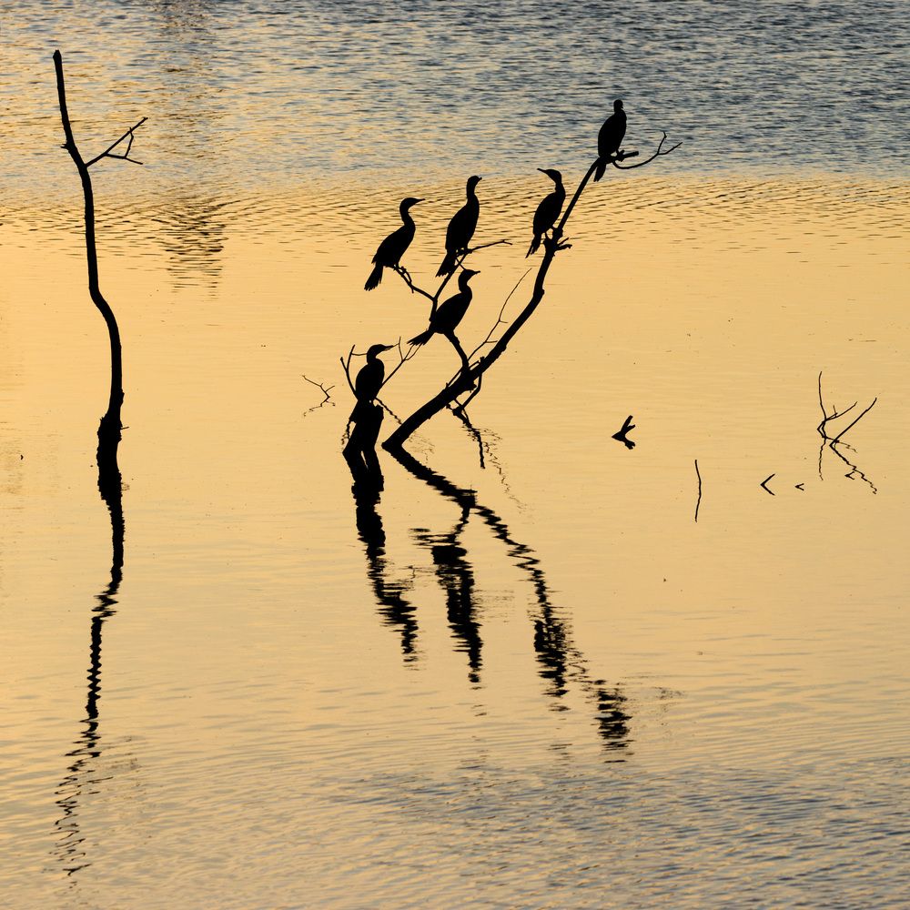 Photograph by Анатолий Костерев