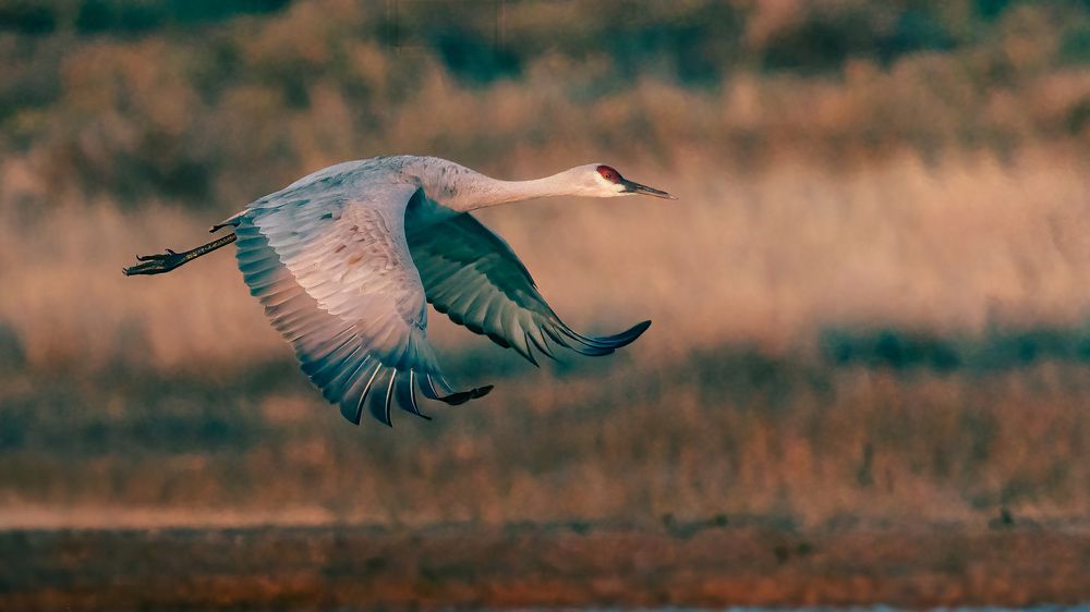 Photograph by Christabel Way