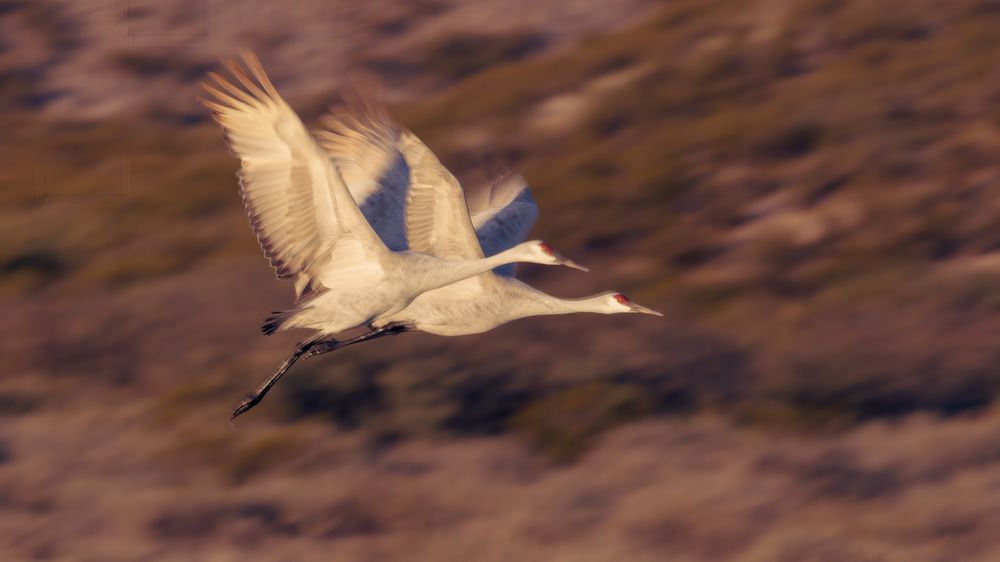 Photograph by Christabel Way