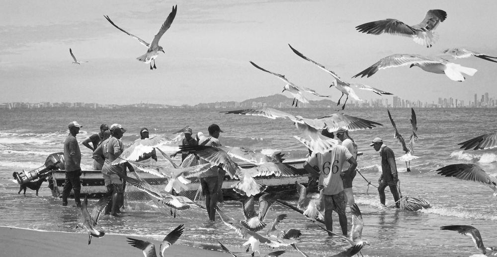 Фотография автора Camilo Rojas