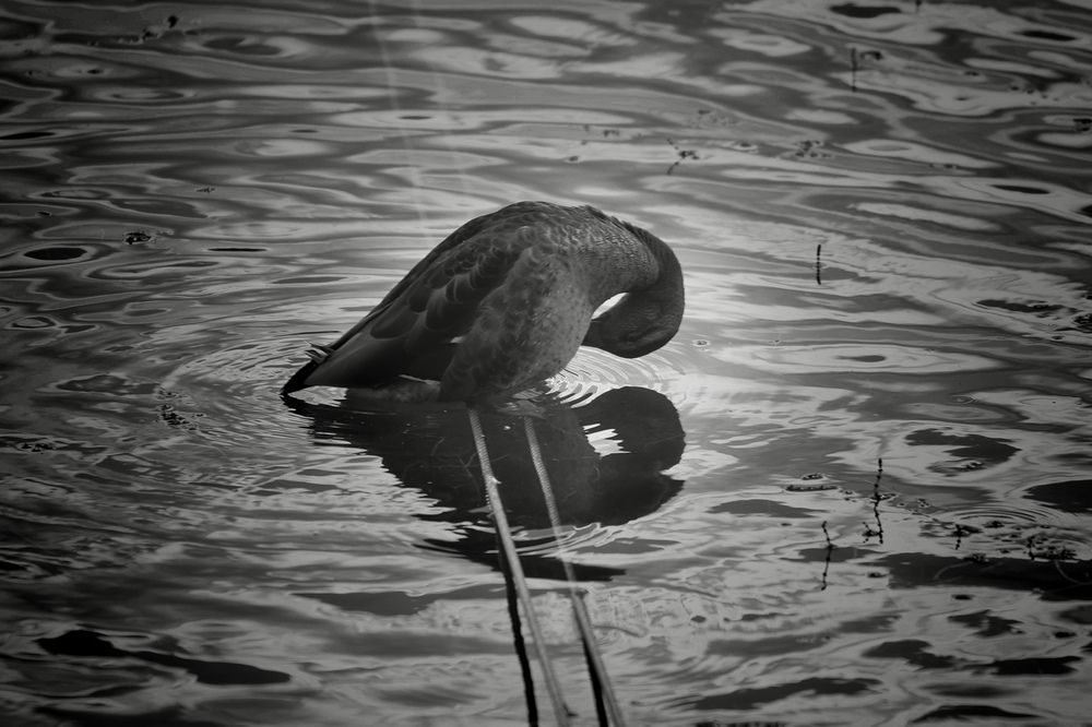 Photograph by Yana Egorova