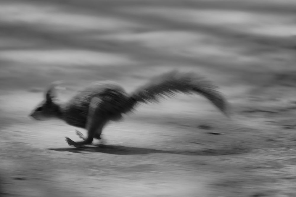 Photograph by Yana Egorova