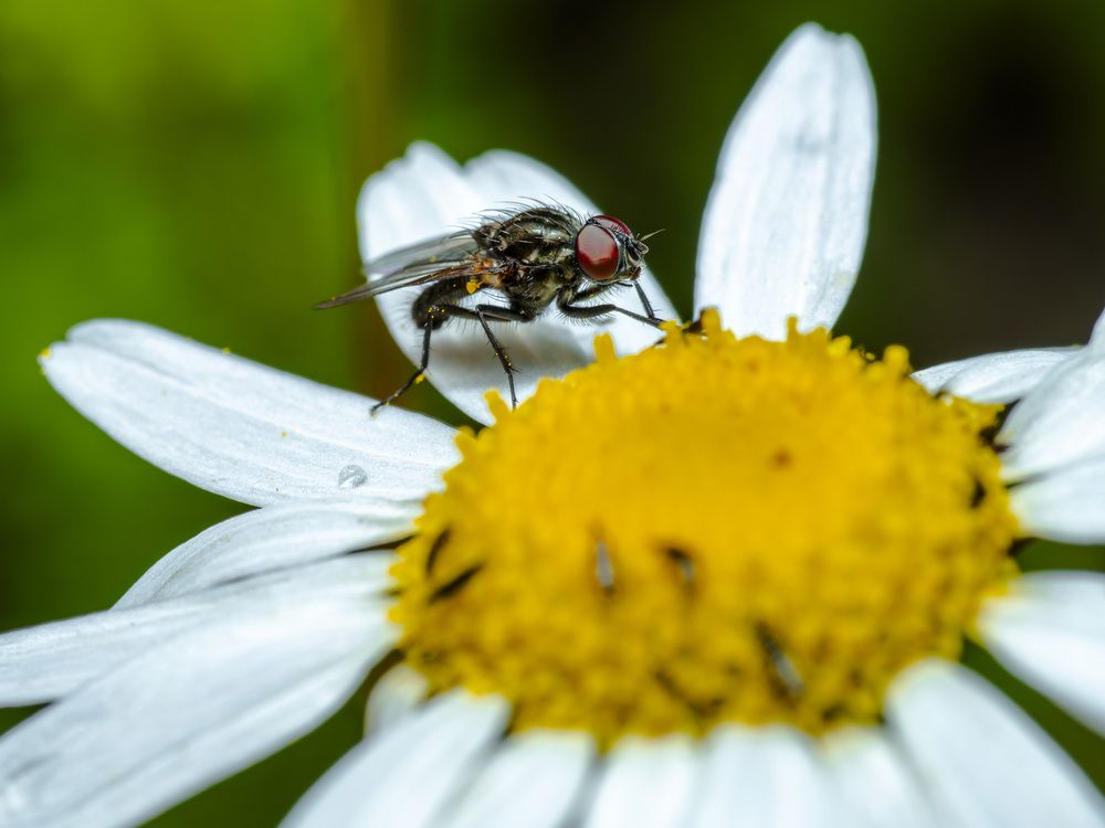 Photograph by Арсений Виноградов