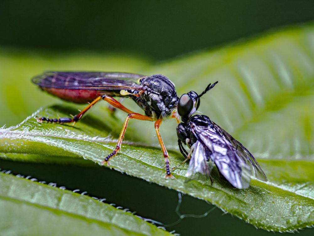 Photograph by Арсений Виноградов