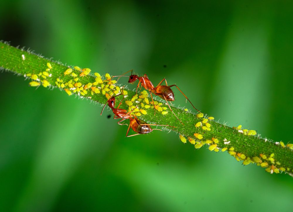 Фотография автора Tran Phuong