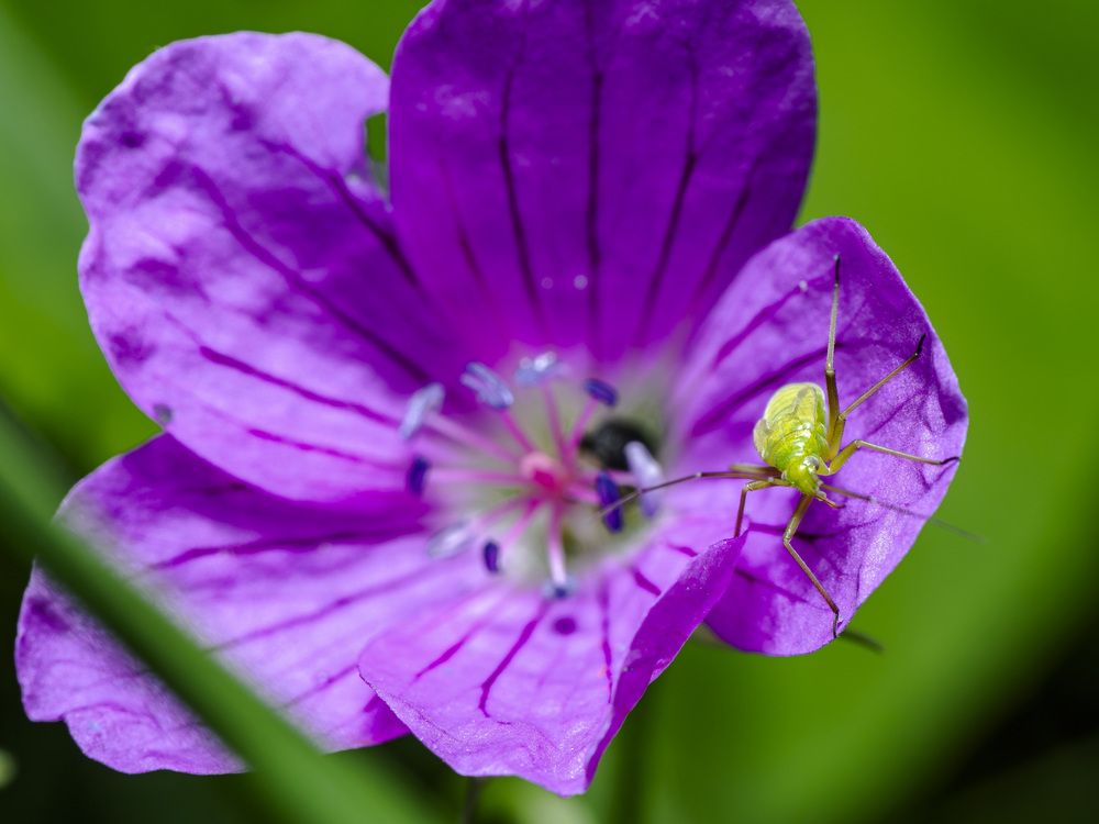 Photograph by Арсений Виноградов