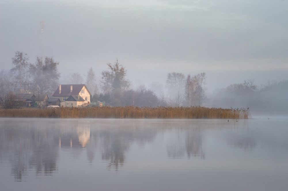 Photograph by Елена Кошелева