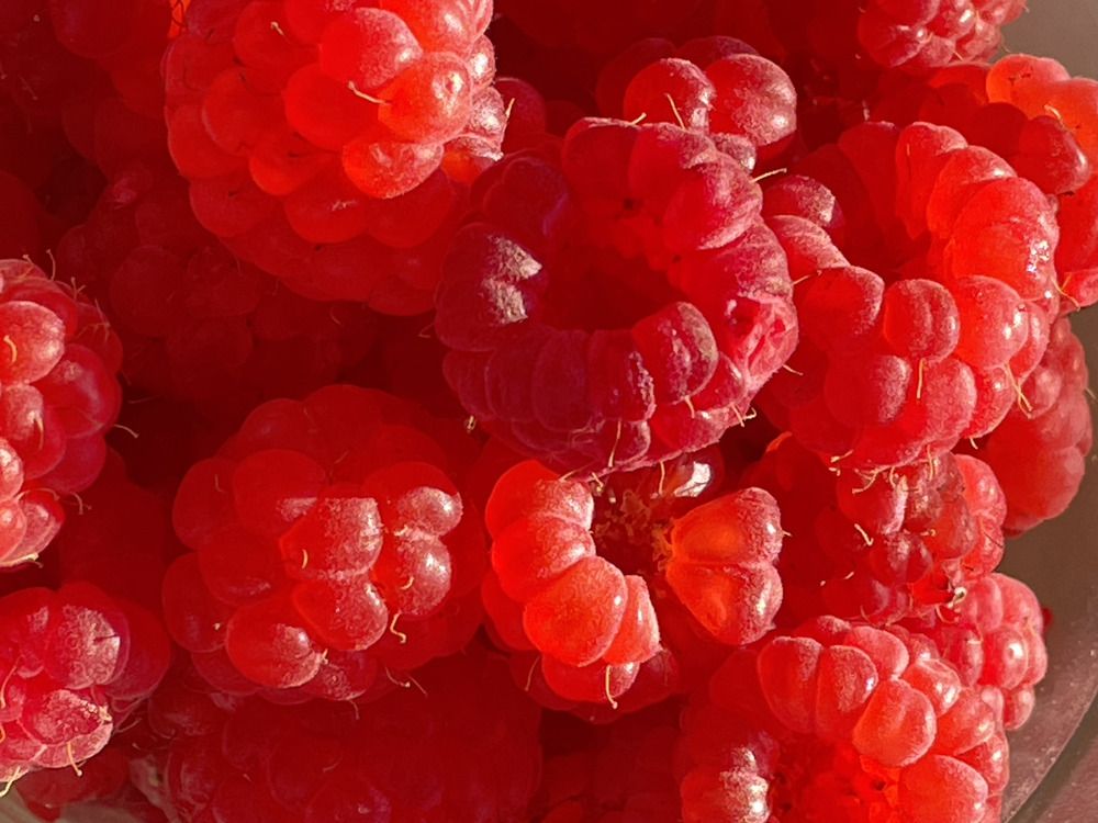 Photograph by IGOR CHERKESOV