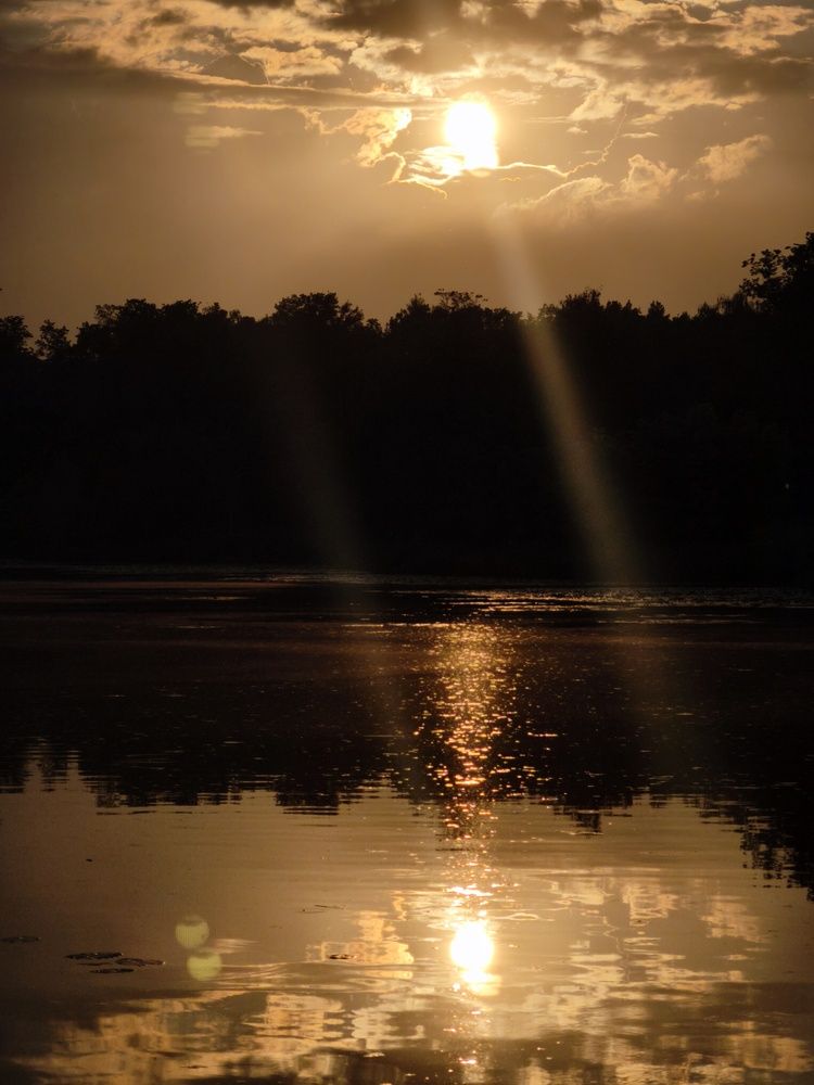 Фотография автора Медведева Елена