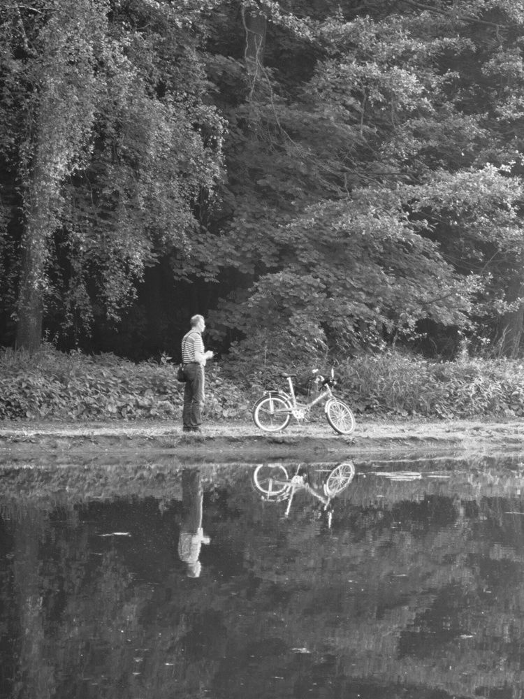 Фотография автора Медведева Елена