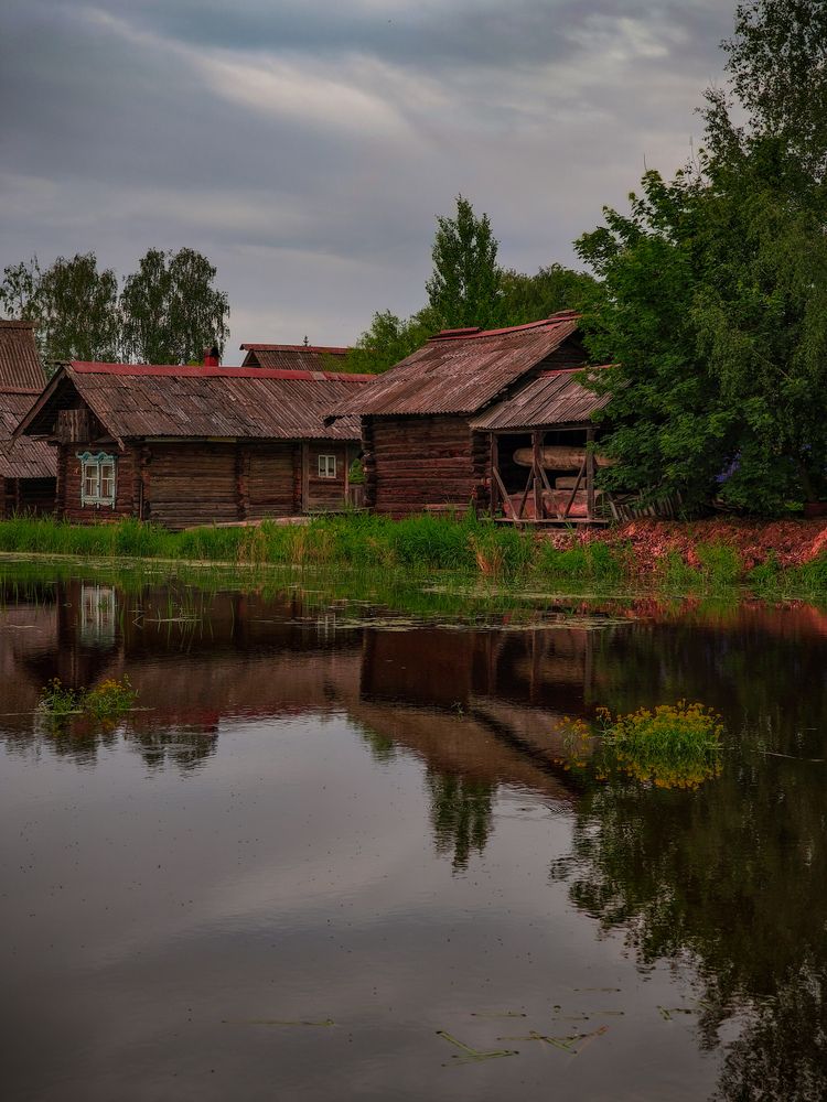Фотография автора Медведева Елена