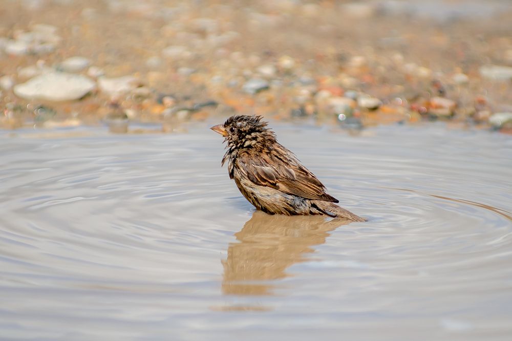 Водные процедуры