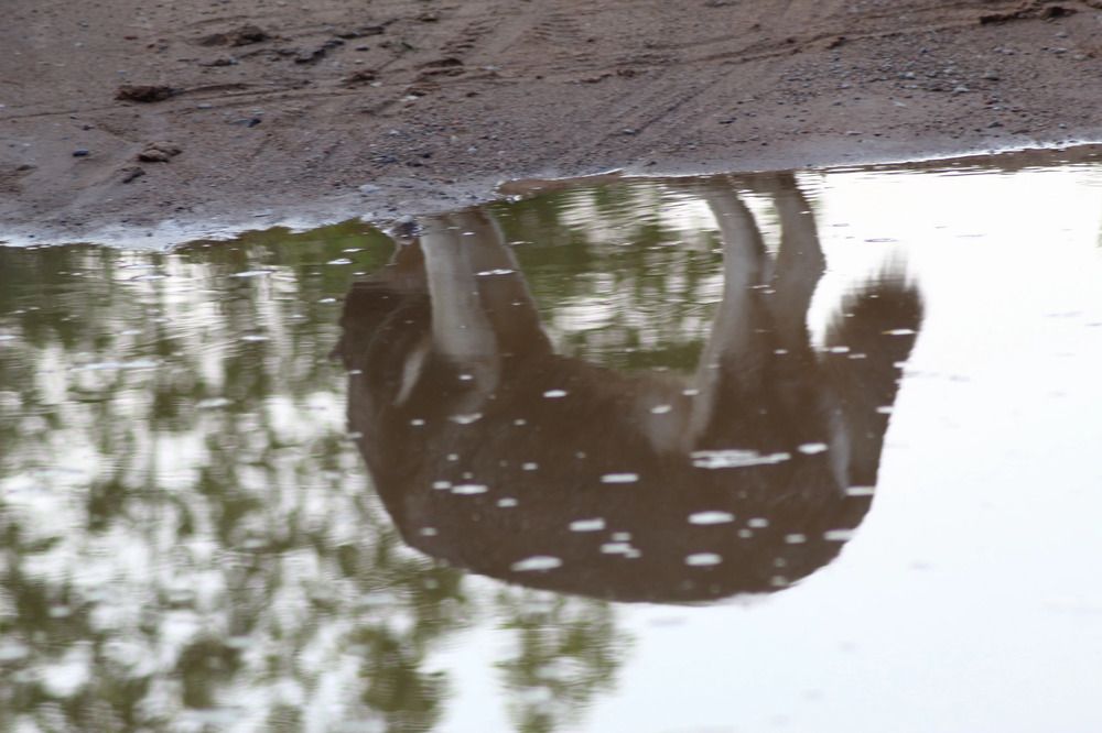 Photograph by Елена Наленч