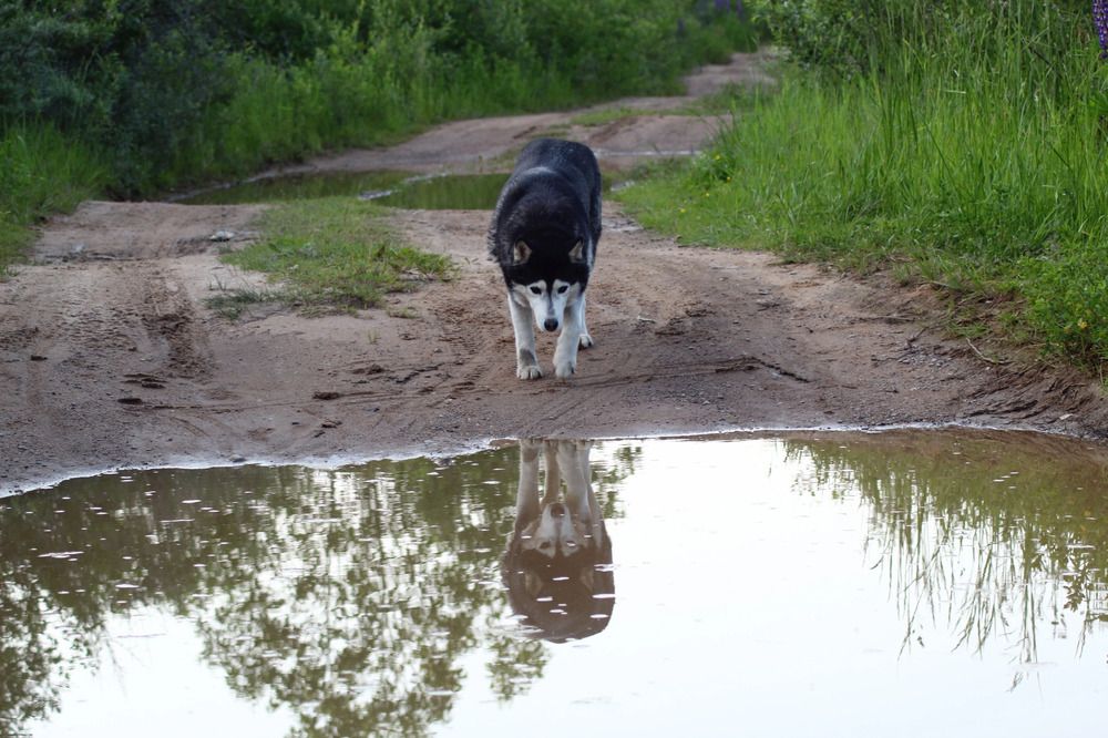 Photograph by Елена Наленч