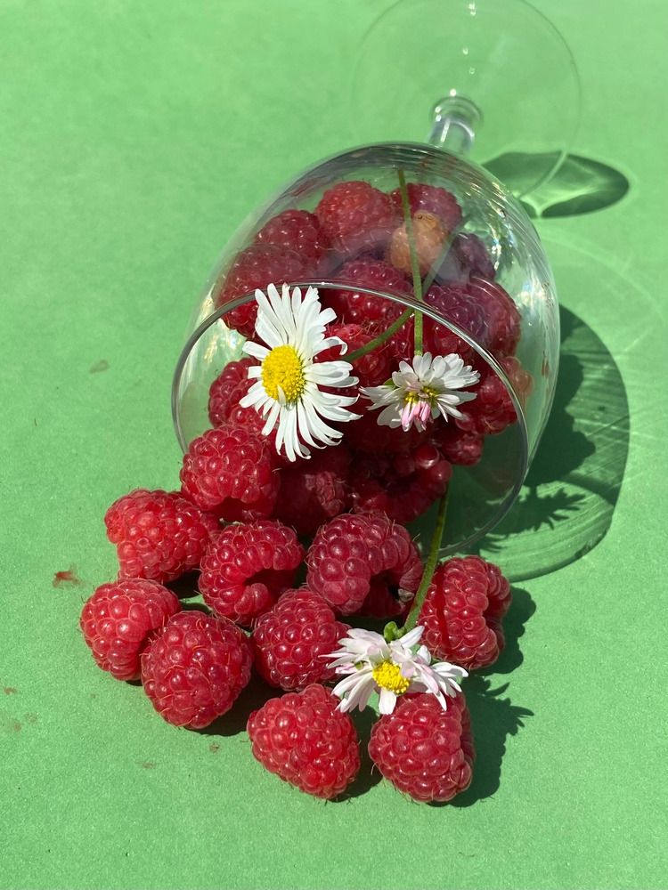 Photograph by Елена
