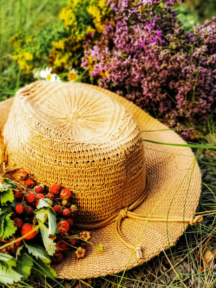 Photograph by Наталья Асоскова