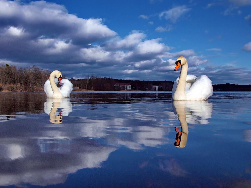 Photograph by Игорь Чеботарёв