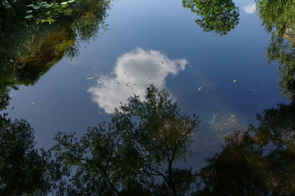 Photograph by Алла Никушкина