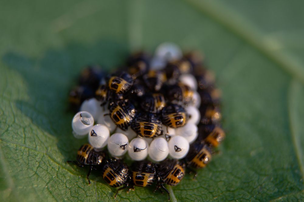 Photograph by Ариадна Подмогильная