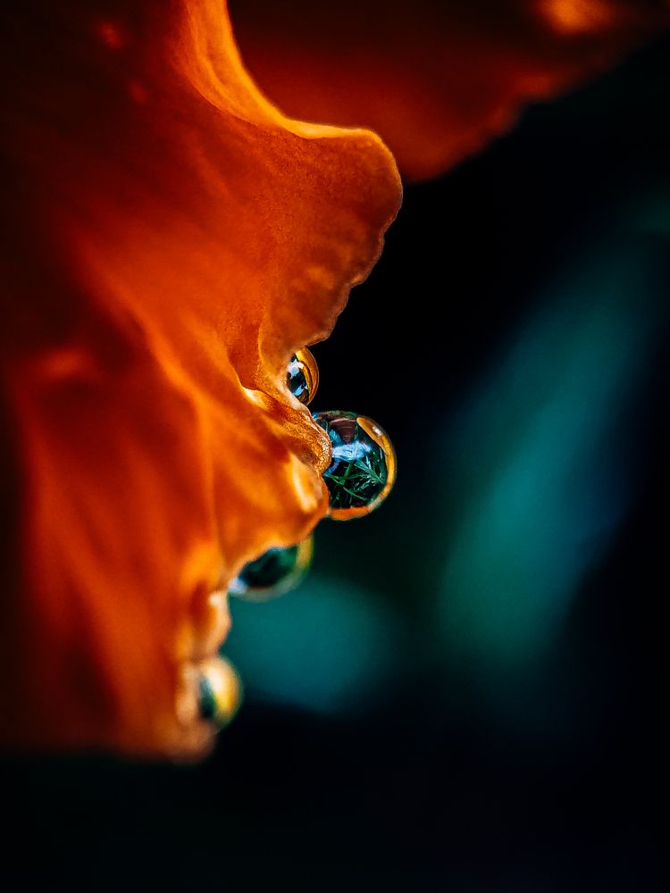Фотография автора Margarita Naumczyk