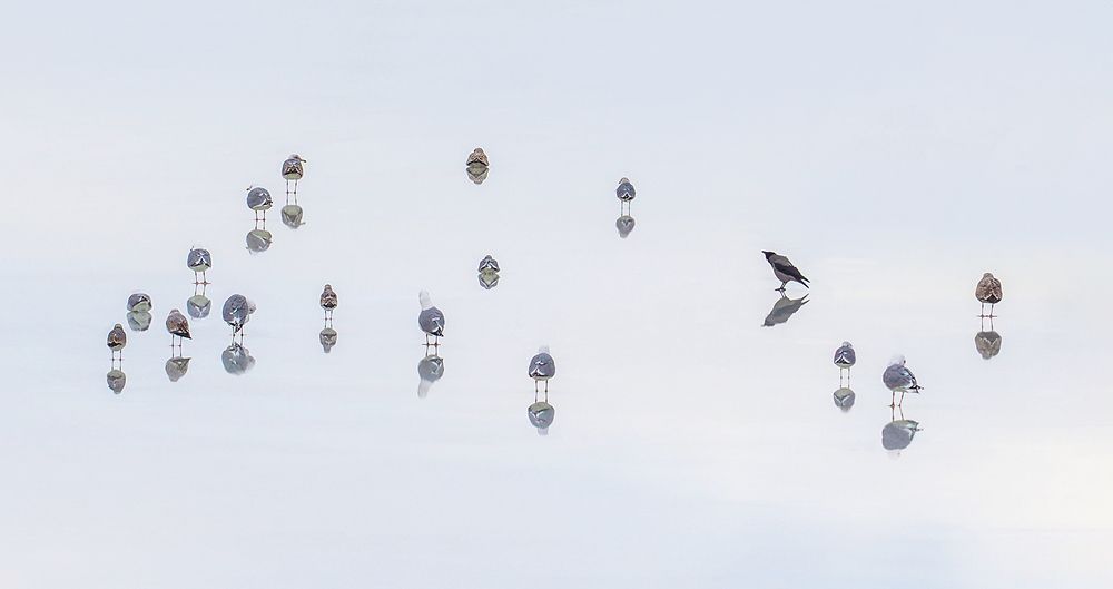 Photograph by Анжелика Титова