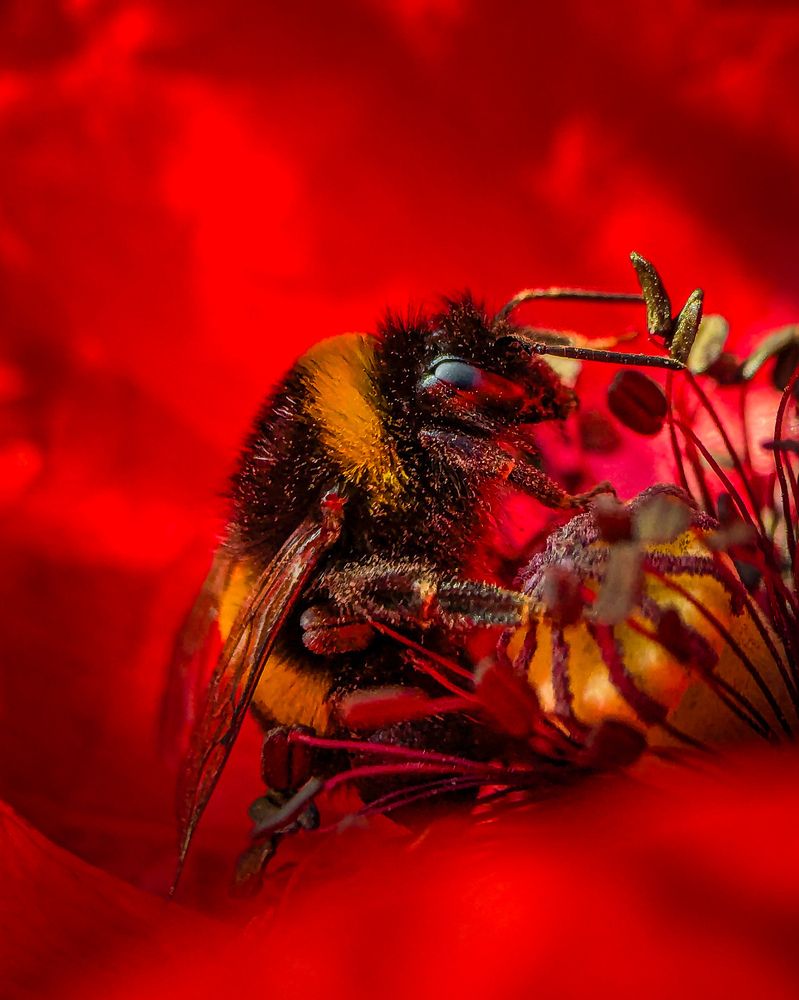 Фотография автора Margarita Naumczyk