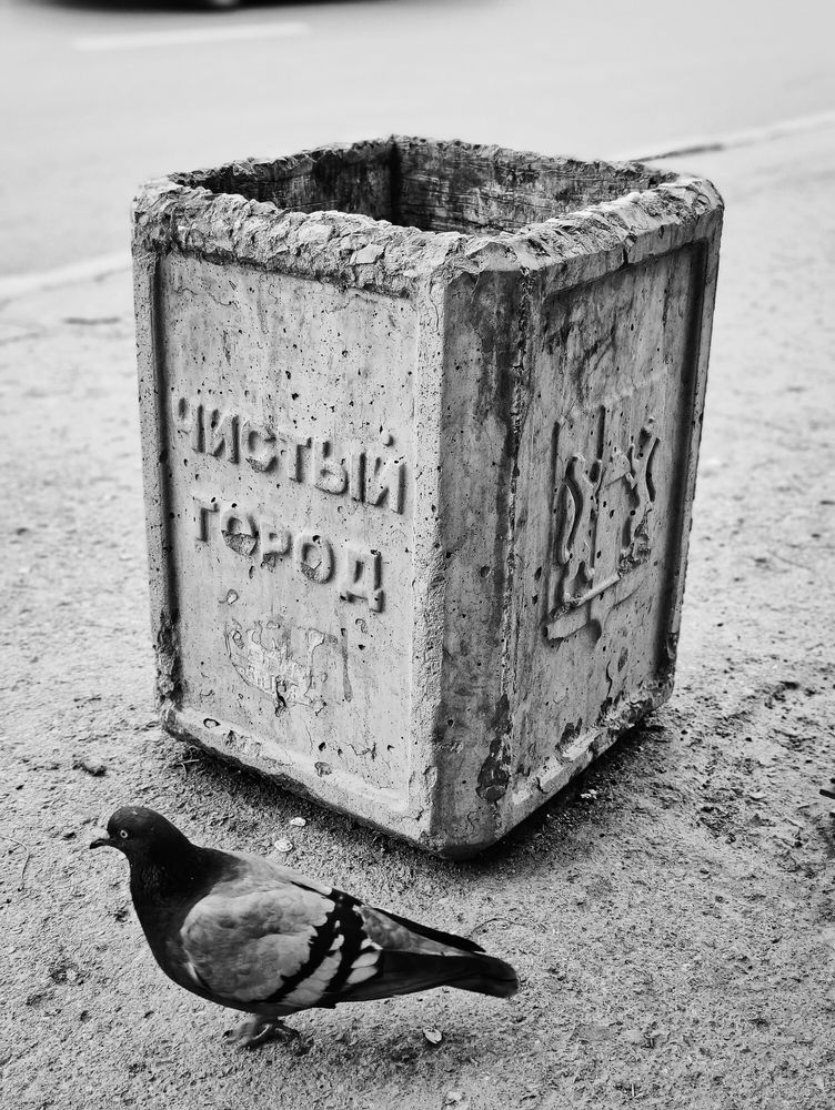 Photograph by Olena Chertous