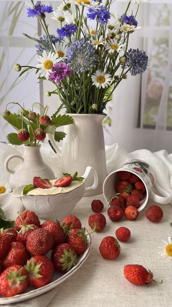 Photograph by OLGA LIZ