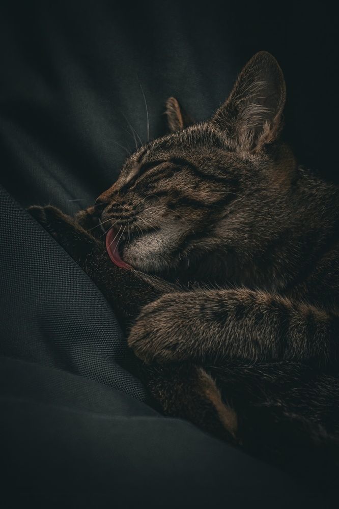 Photograph by Даниил Сырбу
