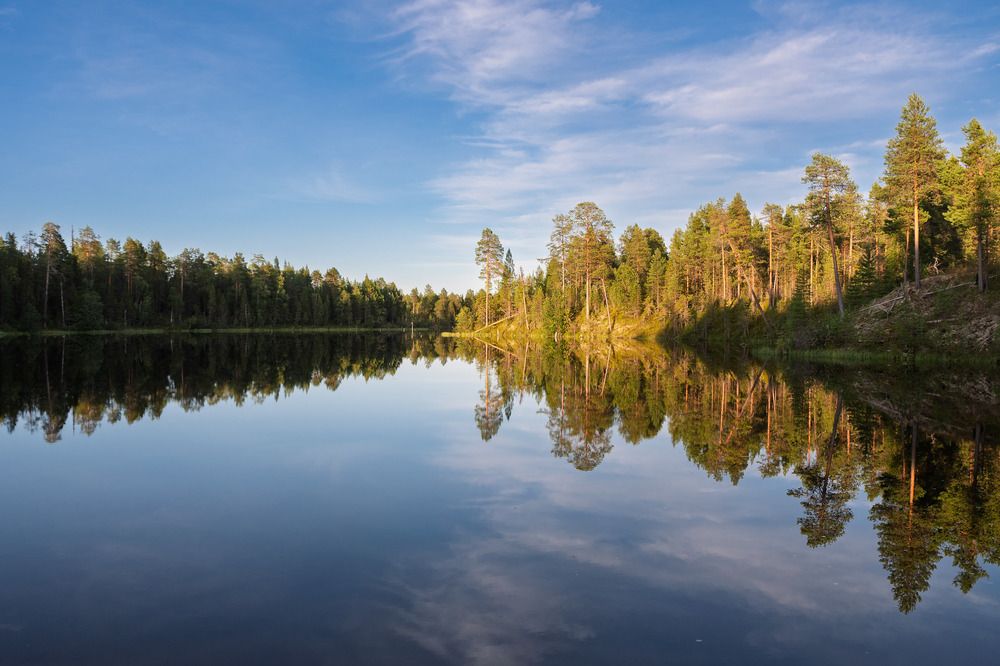Photograph by Светлана Ващенко