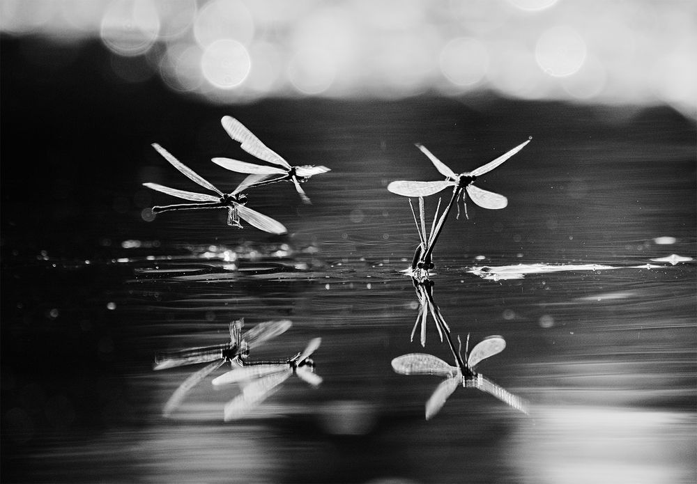 Photograph by Natalia Bolotenkova