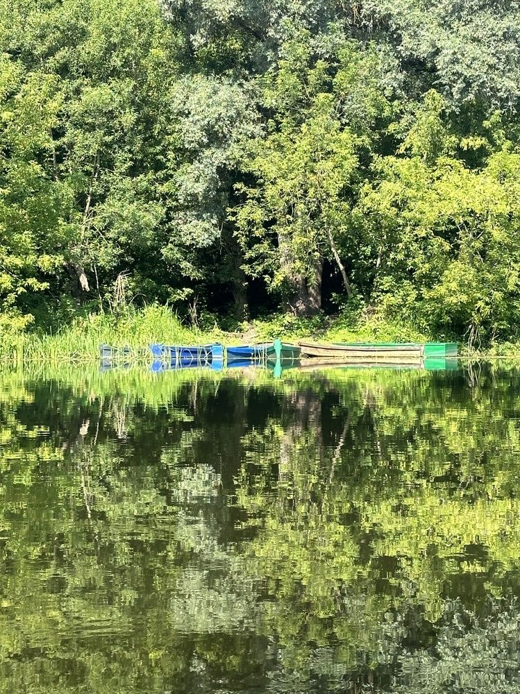 Photograph by Nataliia Nedelina