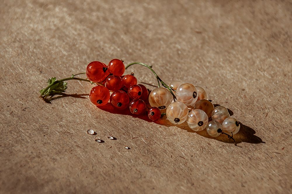 Photograph by Хаева Марина