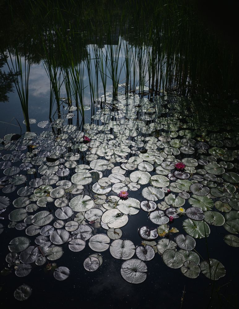 Photograph by Юрий Баланов