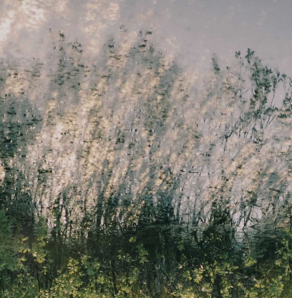 Photograph by Юрий Баланов