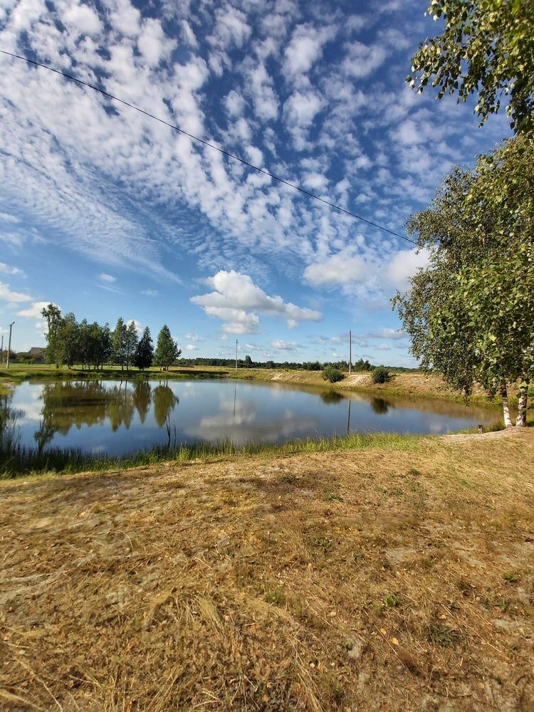 Отражение природы в воде.