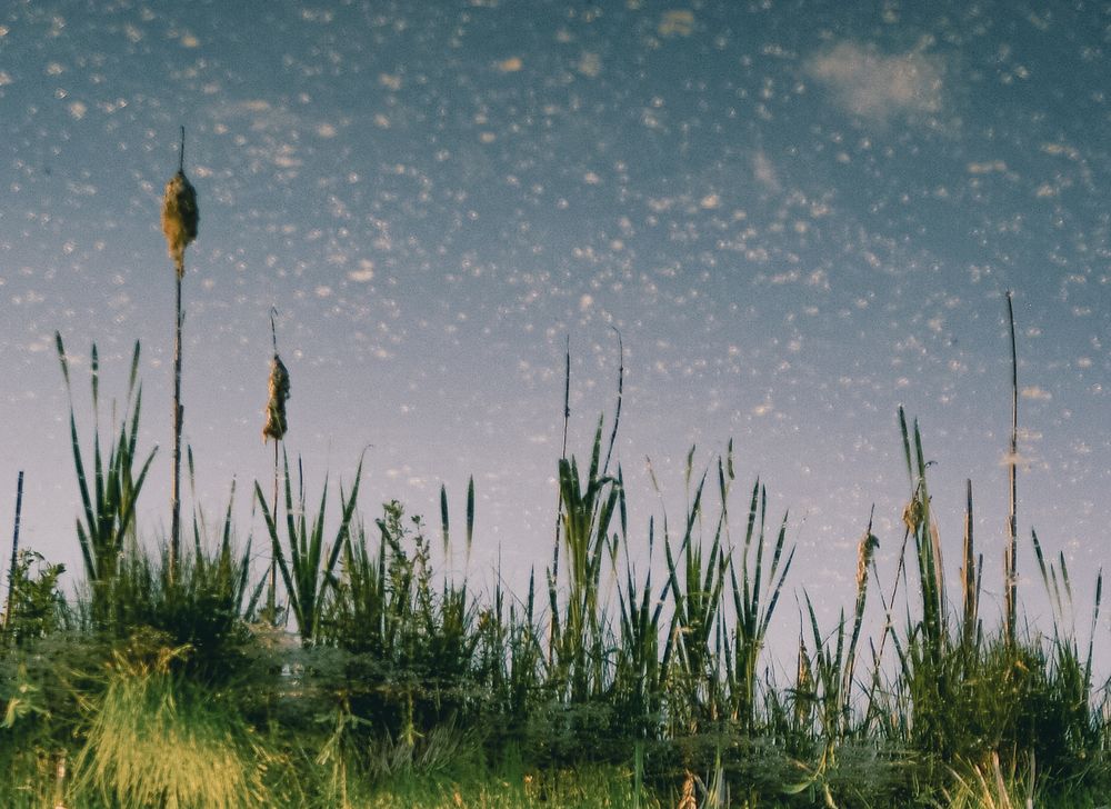 Photograph by Юрий Баланов