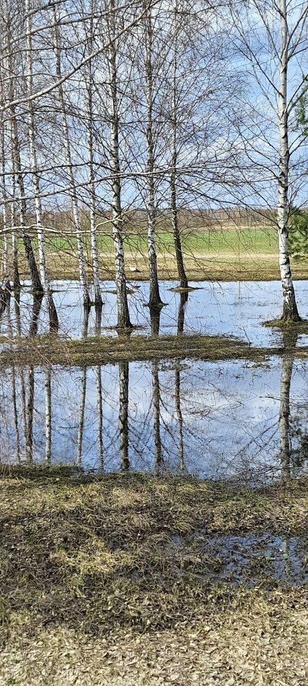 Весна пришла.