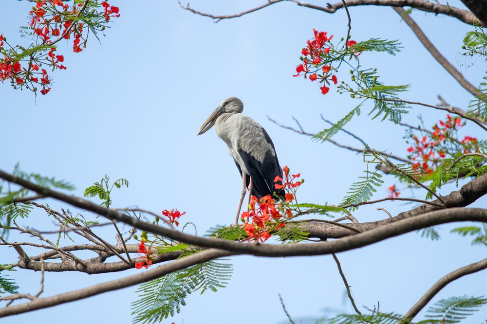 Photograph by Артем Зубарев